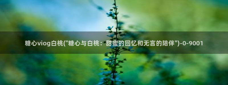 糖心valg